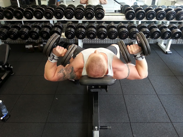 Equus DB press triceps